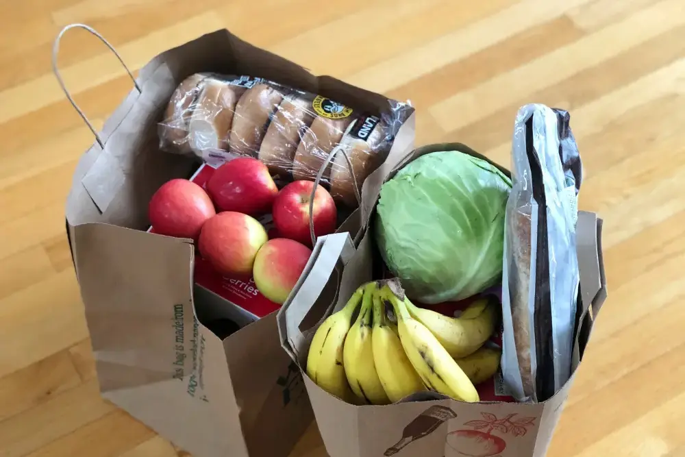 Waschservice, Einkaufsdienste, Kochen, Recycling, sowie Haushüten